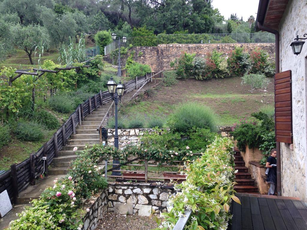 Lady Frantoio Toscano Corsanico-Bargecchia Экстерьер фото